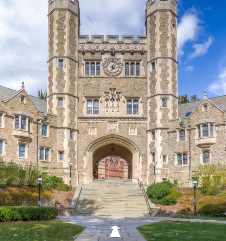 Read more about the article Virtual visit at Princeton University